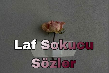 İçinizi Rahatlatacak 70+ Laf Sokucu Söz