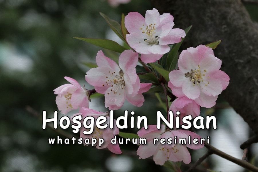 Hoşgeldin Nisan Whatsapp Durum Resimleri 2021 »