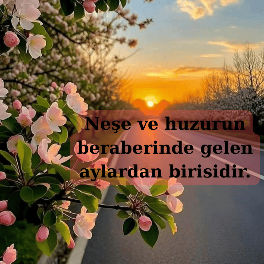 Merhaba Haziran 2025