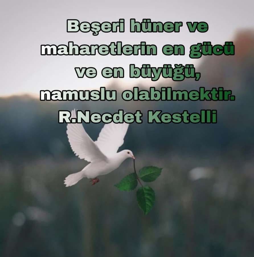 Namus Sözleri Durum